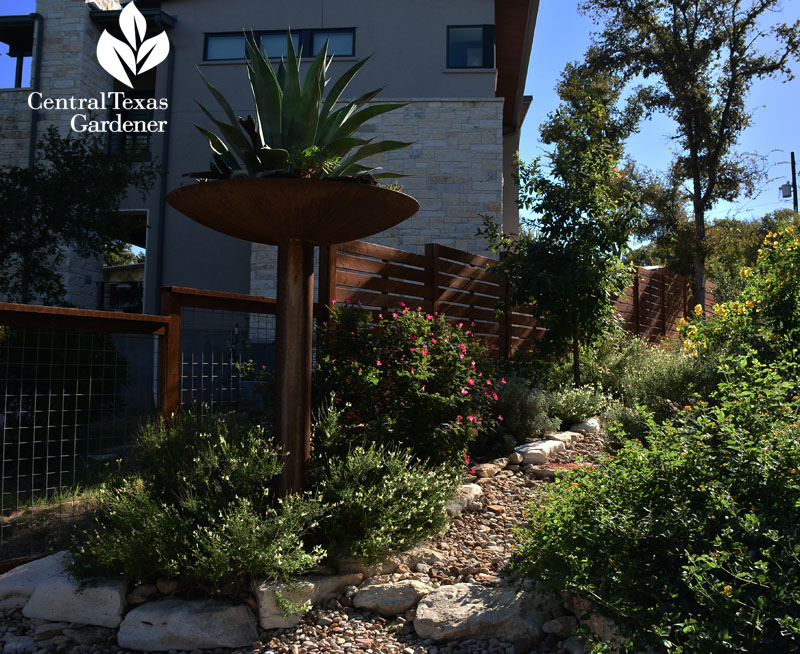 dry creek slope to filtration trench water control Central Texas Gardener 