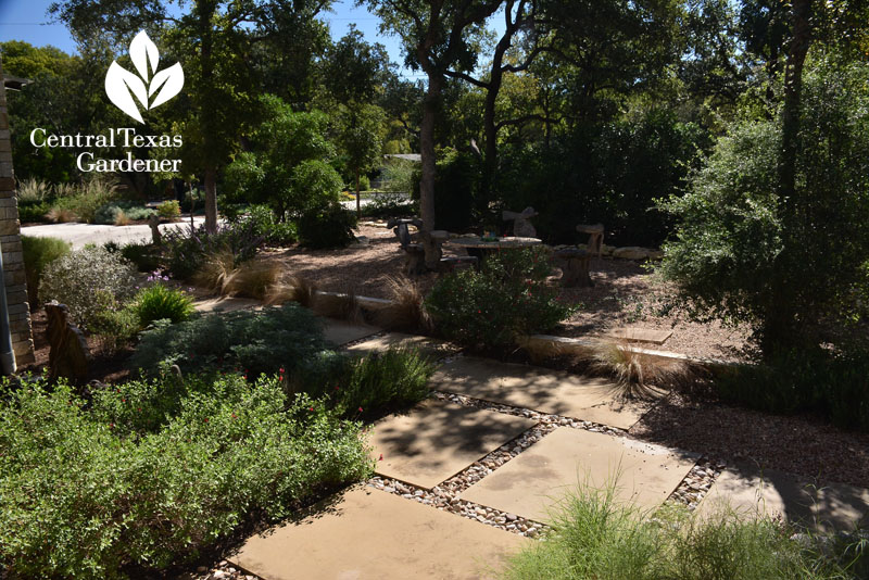 front yard patio Central Texas Gardener