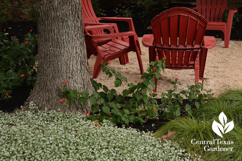 gfront yard makeover Central Texas Gardener front yard patio 