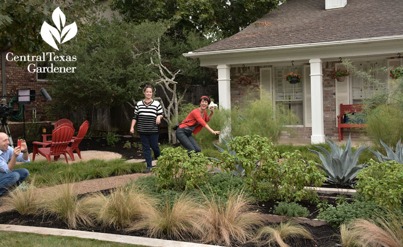 front yard makeover Central Texas Gardener