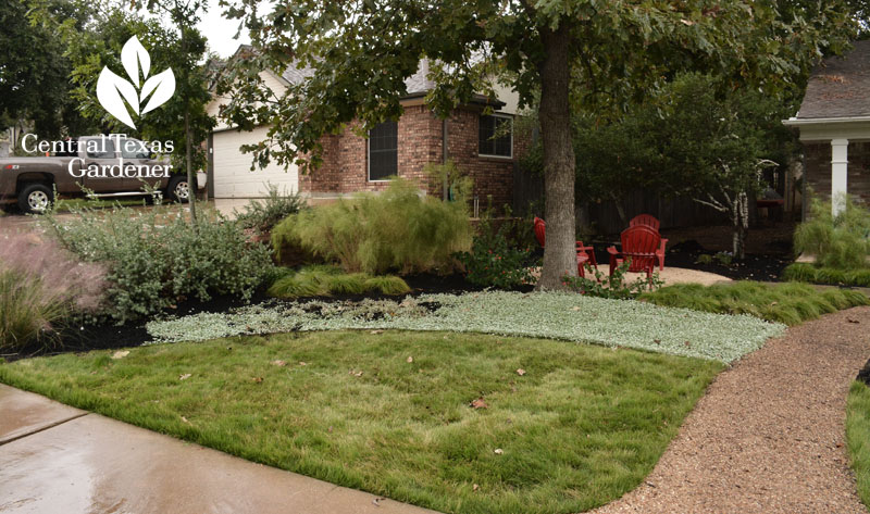 front yard makeover silver ponyfoot and Cavalier zoysia