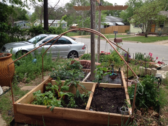 Mary Valente's front yard vegetable garden