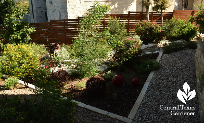 water control pathways Central Texas Gardener