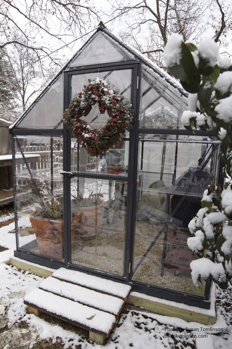 The Bike Garden's kit greenhouse Central Texas Gardener