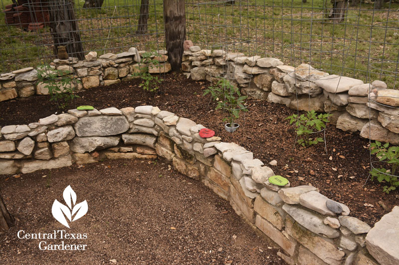 garden beds painted stones plant identify Central Texas Gardener