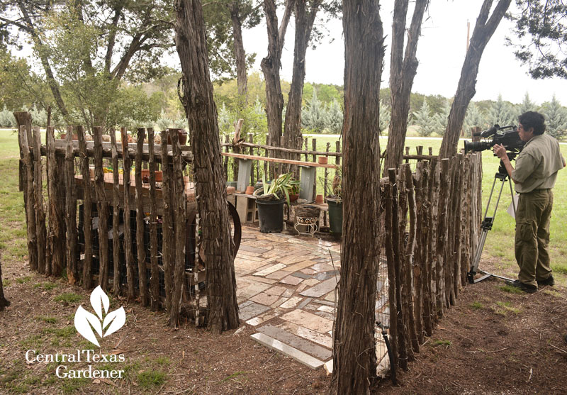 cedar corral for garden supplies Liberty Hill Central Texas Gardener