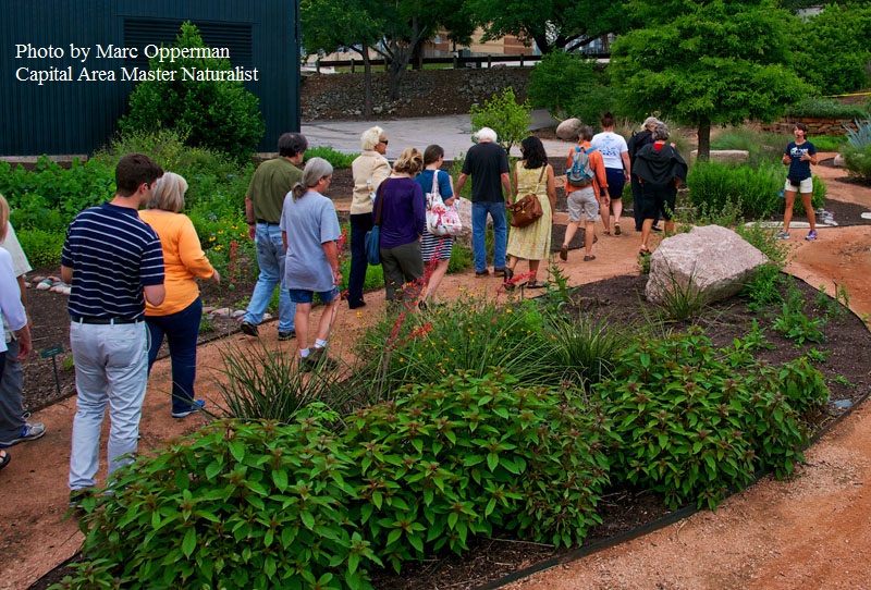 Capital Area Master Naturalists Central Texas Gardener