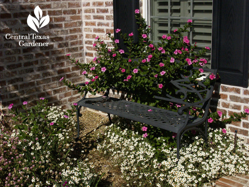 Heirloom periwinkles on cute front porch