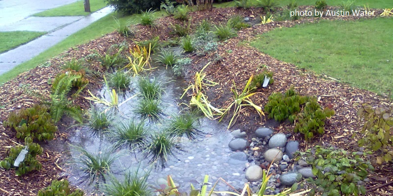 Rain garden design Central Texas Gardener