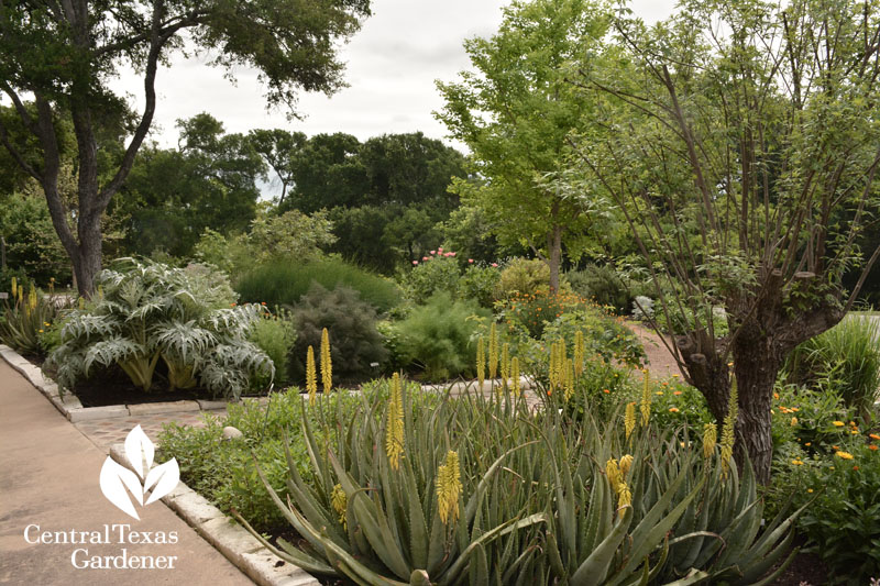 American Botanical Council medicinal gardens Central Texas Gardener