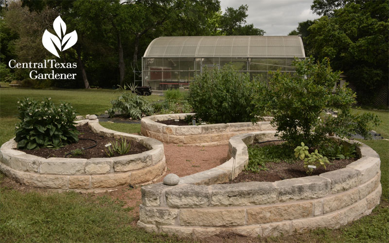 Ayurvedic garden American Botanical Council Central Texas Gardener