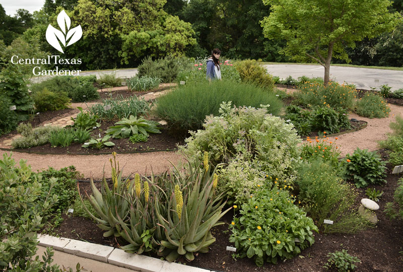 American Botanical Council Central Texas Gardener