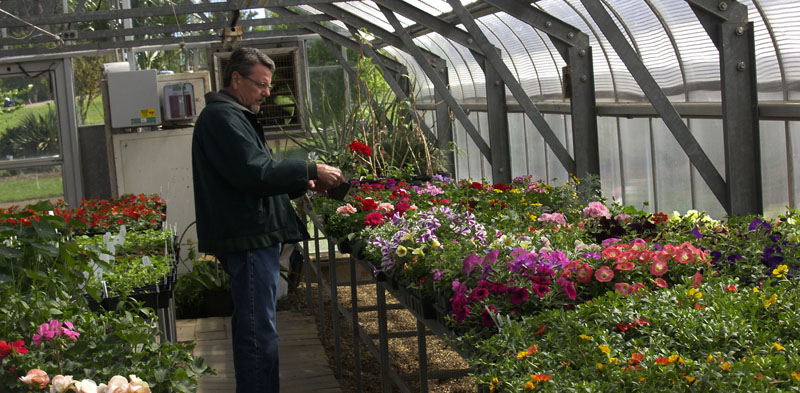 Brent Pemberton Texas A&M research gardens Central Texas Gardener
