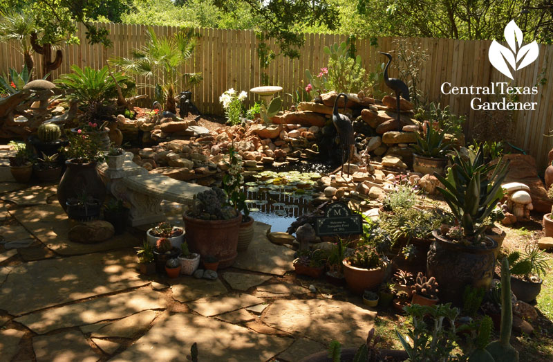 Pond and patios replace lawn Central Texas Gardener 