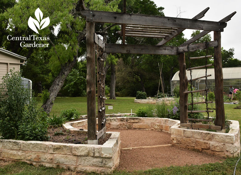 Oriental medicinal garden American Botanical Council Central Texas Gardener