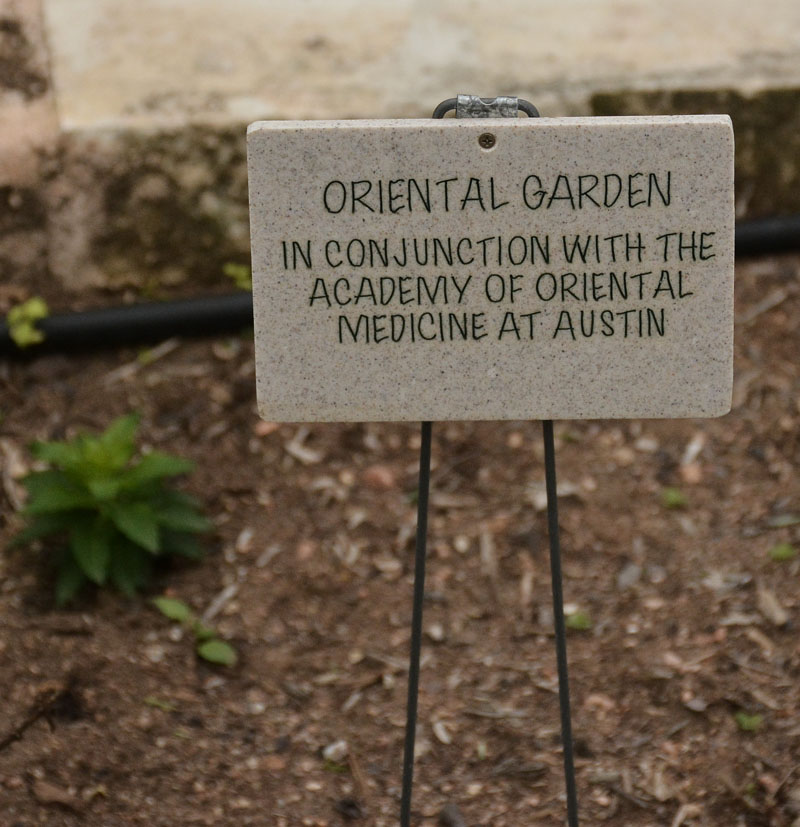 Oriental medicinal garden American Botanical Council Central Texas Gardener