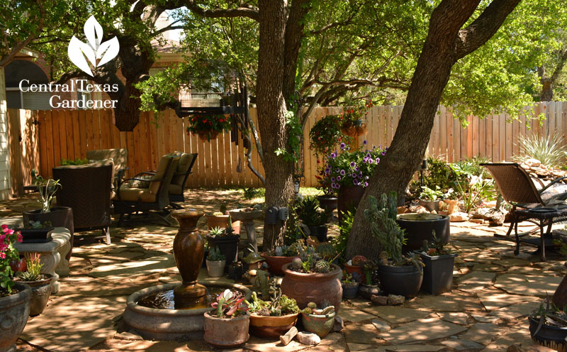 Pond and patios replace lawn Central Texas Gardener 