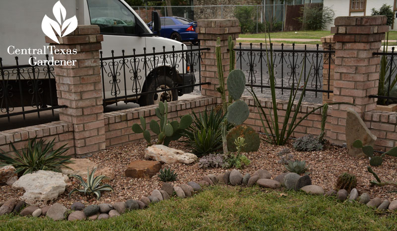 Eric Pedley succulent garden in front yard Central Texas Gardener