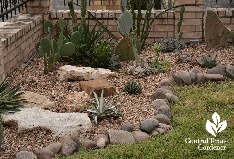 succulent bed design Central Texas Gardener