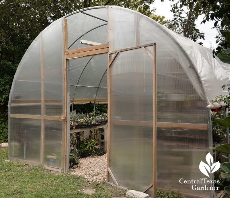 Eric Pedley's greenhouse Central Texas Gardener