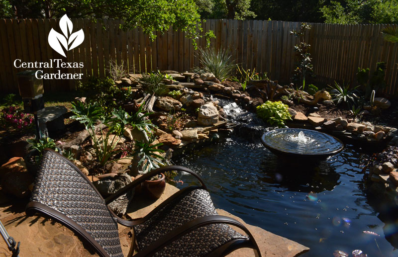 pond and fountain garden replace grass Central Texas Gardener