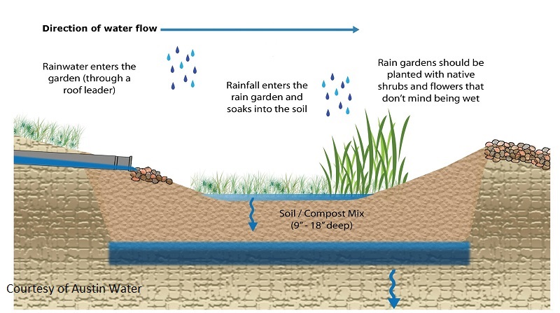 rain garden diagram Central Texas Gardener and Austin Water