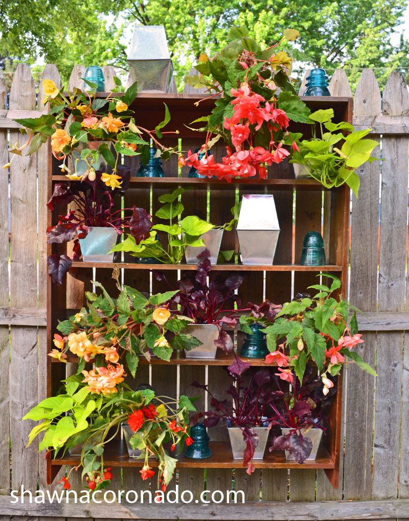shawna coronado vertical garden book shelf