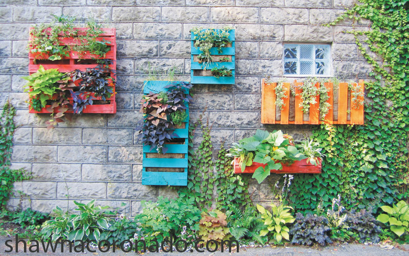 shawna coronado vertical garden pallets