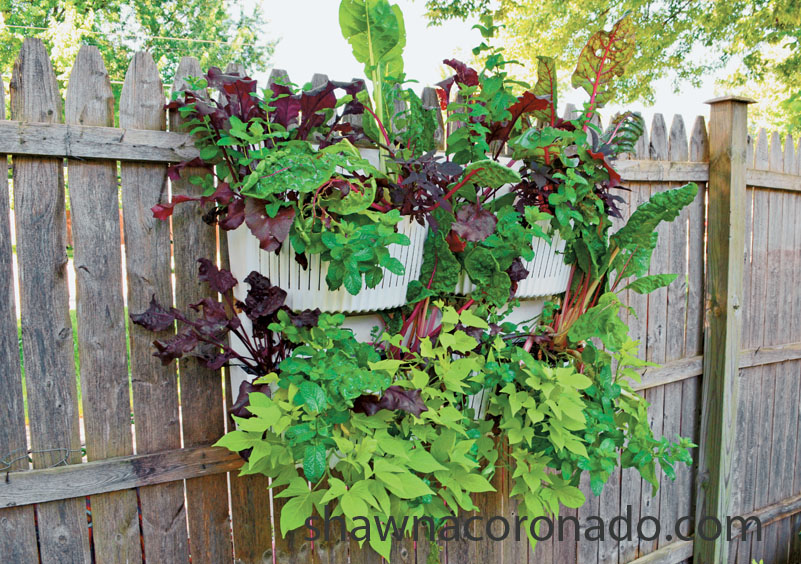 shawna coronado vertical wall garden planters