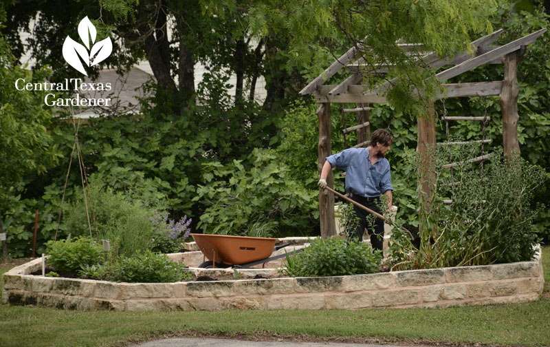 Oriental medicinal garden American Botanical Council Central Texas Gardener