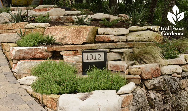 terracing to control rainwater Central Texas Gardener