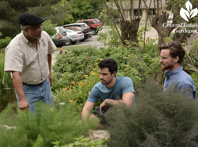 American Botanical Council Central Texas Gardener