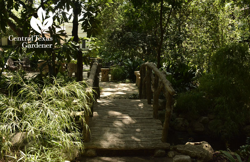 Faux bois bridge Central Texas Gardener