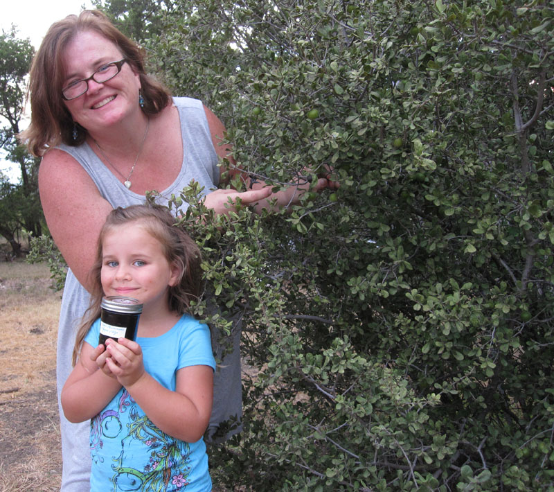 Tanja Joseph and daughter harvesting Texas persimmons ll