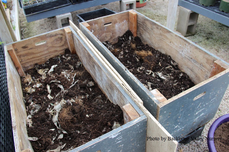 Worm composting boxes  Backbone Valley Nursery
