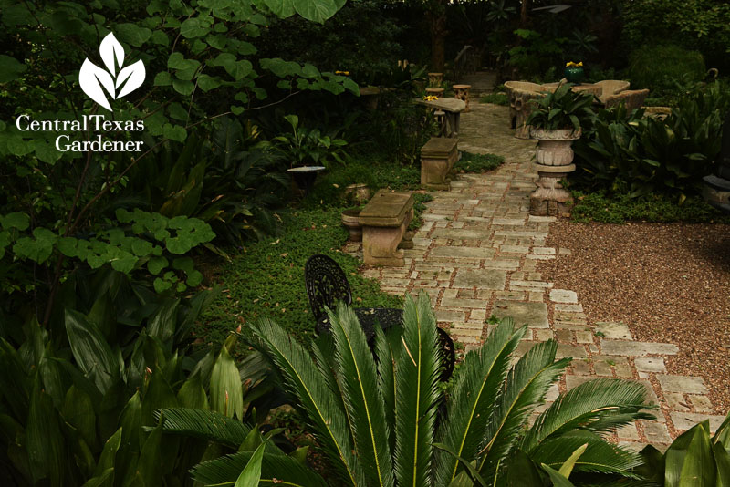 Brick pathway frontyard garden Central Texas Gardener