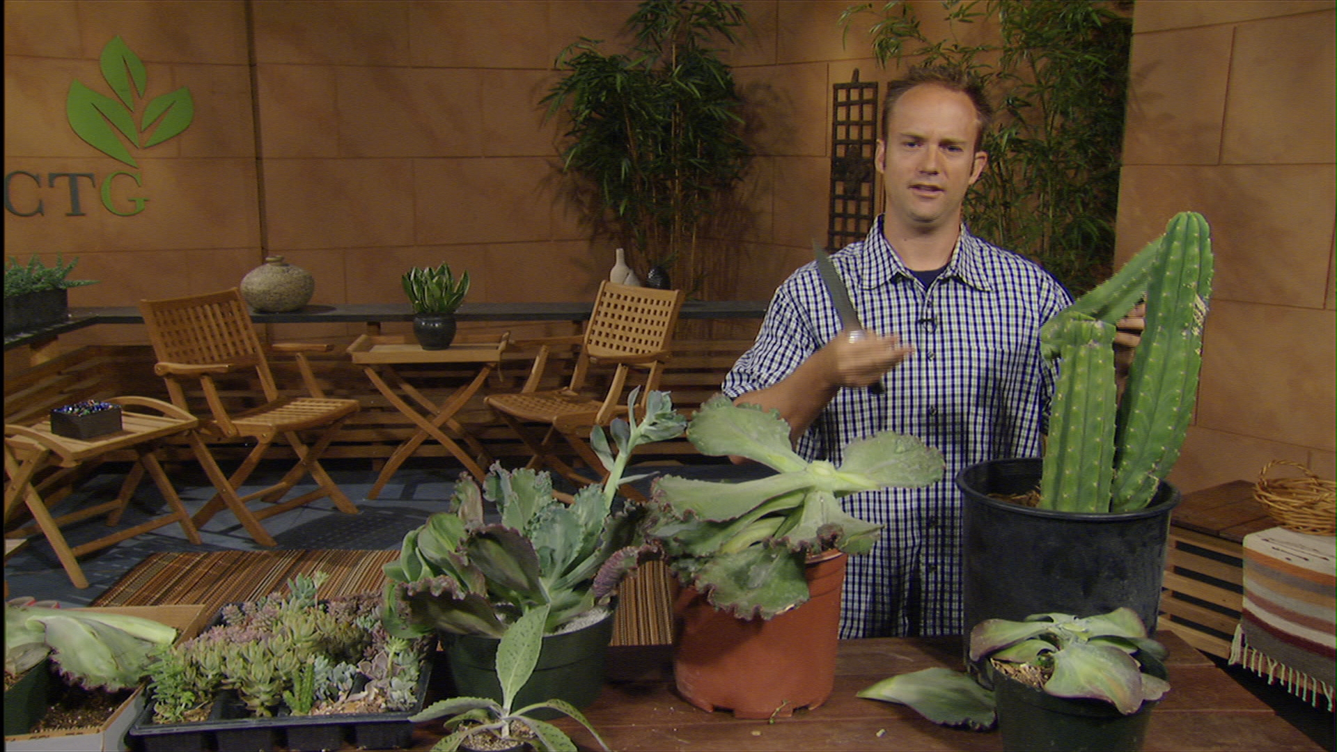 divide succulents leaf and behead with Eric Pedley