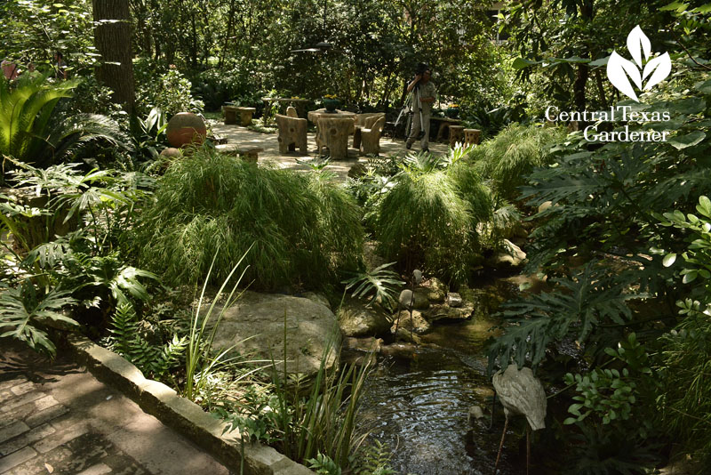 Front yard stream Central Texas Gardener