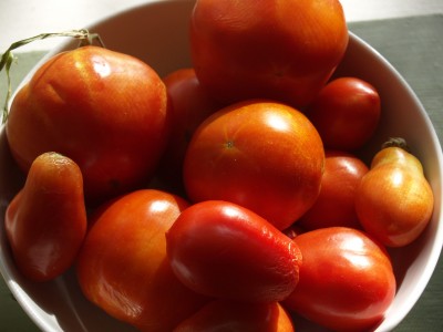 tomatoes