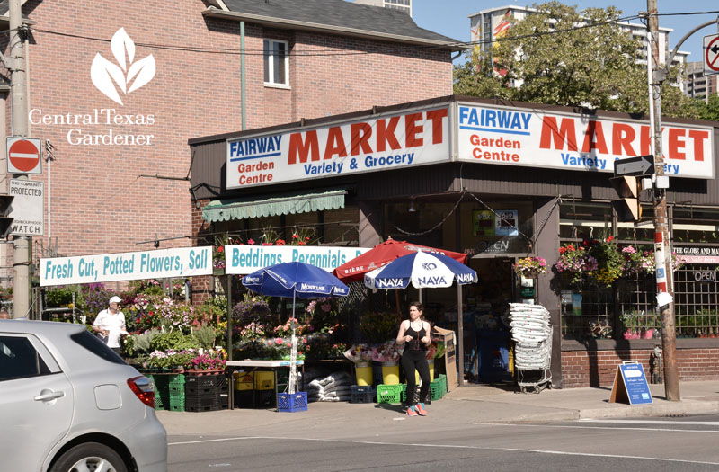 Cabbagetown Toronto corner market Central Texas Gardener