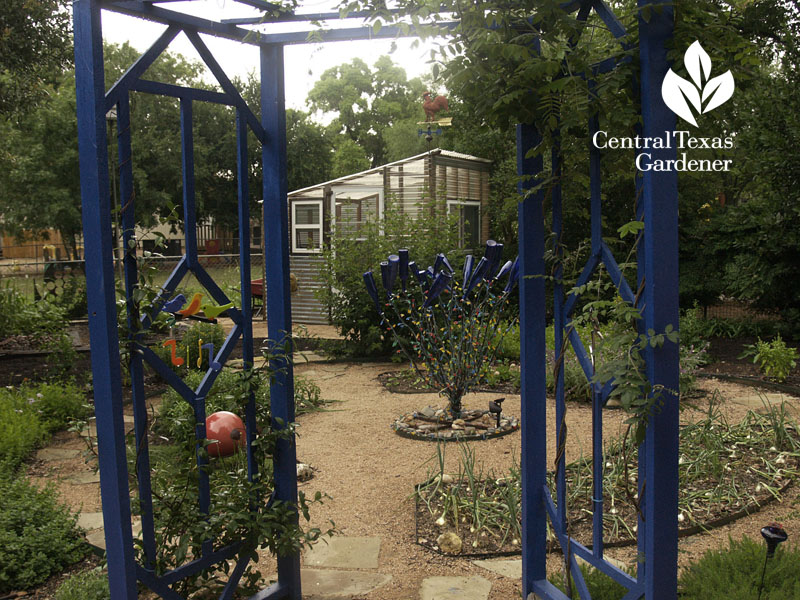 stylish cobalt blue arbor Central Texas Gardener