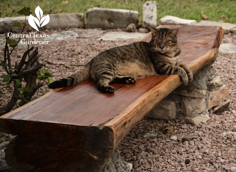 handmade backyard bench Cenral Texas Gardener