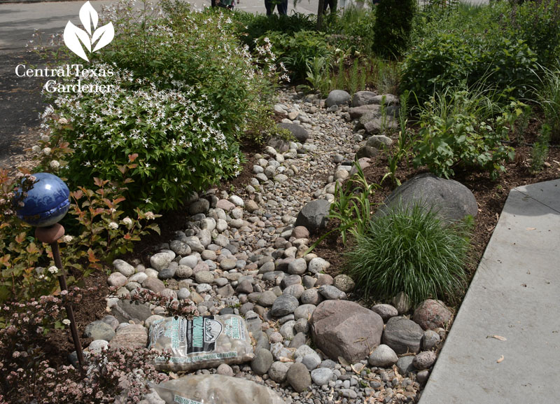 dry creek bed Toronto Central Texas Gardener