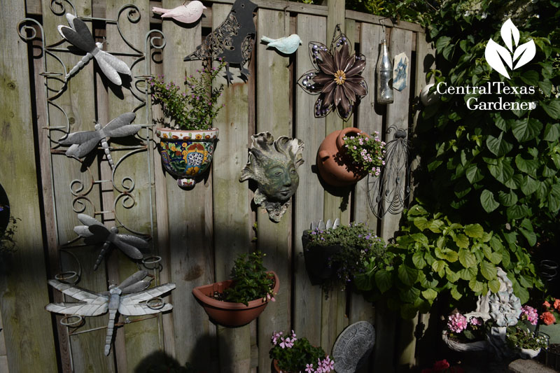 fence art vertical planting Central Texas Gardener