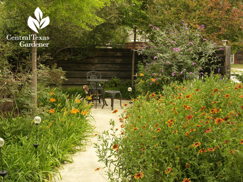 tiny patio with wildflowers Central Texas Gardener