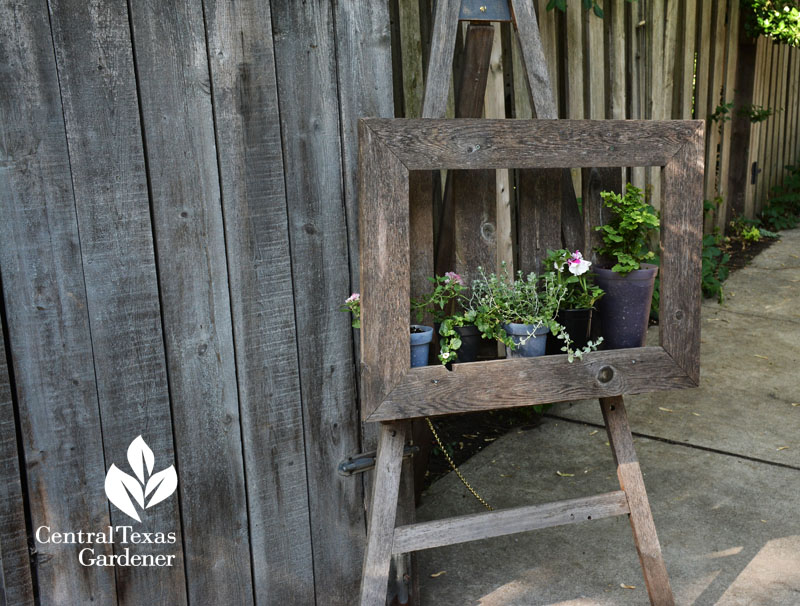 Garden art frame planter Central Texas Gardemer