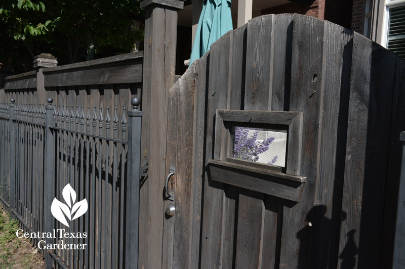 cute window in gate Toronto Central Texas Gardener