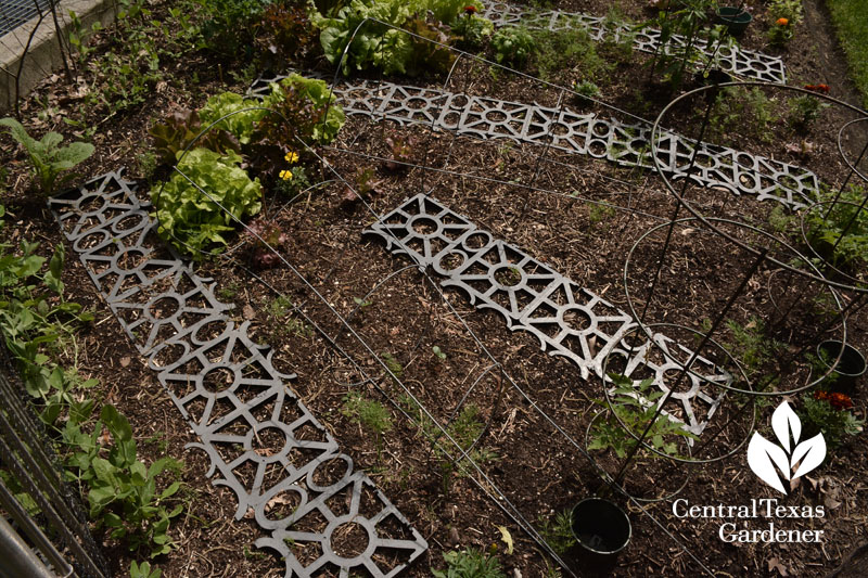 mesh pavers deter cats and wildlife Central Texas Gardener