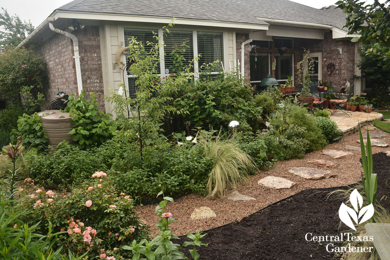 edible garden to cozy patio Central Texas Gardener