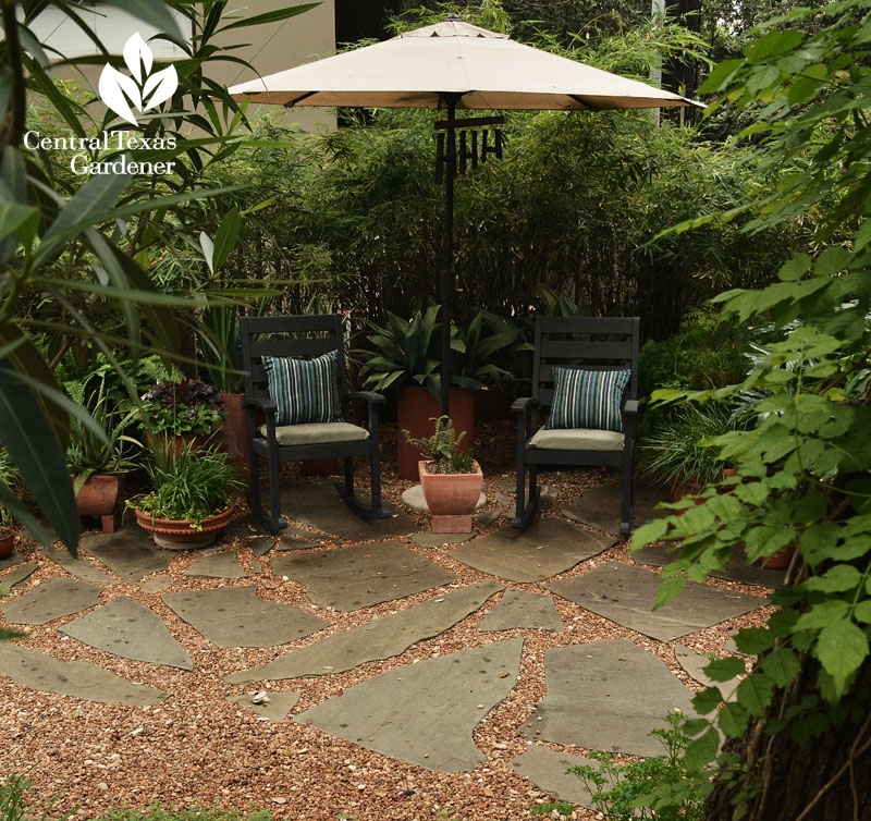 cozy shady patio clumping bamboo privacy Central Texas Gardener